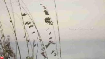 探索泰勒·斯威夫特《August》的深层含义:歌词解析与情感分析