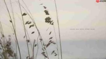探索泰勒·斯威夫特《August》的深层含义:歌词解析与情感分析