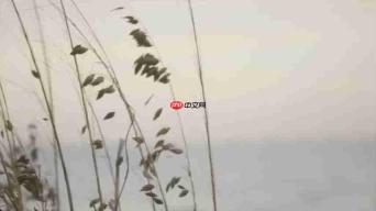 探索泰勒·斯威夫特《august》的深层含义:歌词解析与情感分析