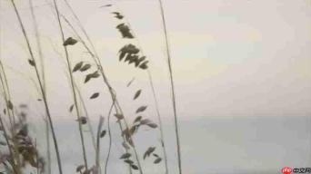探索泰勒·斯威夫特《August》的深层含义:歌词解析与情感分析