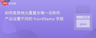 如何高效地为重复与唯一名称的产品设置不同的 frontName 字段