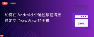 如何在 Android 中通过按钮清空自定义 DrawView 的画布