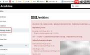 Jenkins配置SSH远程主机