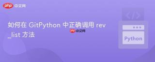 如何在 GitPython 中正确调用 rev_list 方法