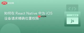 如何在 React Native 中为 iOS 设备请求精确位置权限