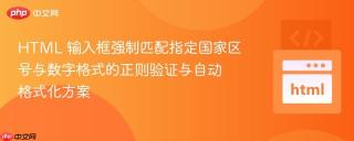 HTML 输入框强制匹配指定国家区号与数字格式的正则验证与自动格式化方案