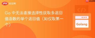 Go 中无法直接选择性获取多返回值函数的单个返回值（如仅取第一个）