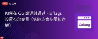 如何在 Go 编译时通过 -ldflags 设置布尔变量（实际方案与限制详解）