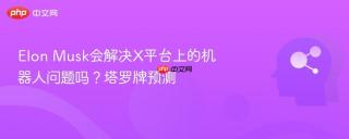Elon Musk会解决X平台上的机器人问题吗？塔罗牌预测