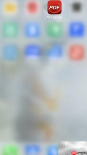 PDF Reader多页签开启方法