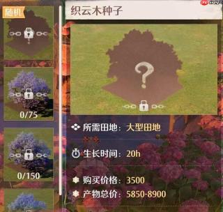 《无限暖暖》家园能力规划攻略