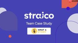 Straico团队案例研究：AI赋能，效率提升的秘诀