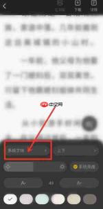 布袋鼠小说app怎么调整字体-字体设置方法