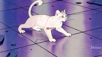 重温经典:宝可梦动画中的精彩瞬间与幕后花絮
