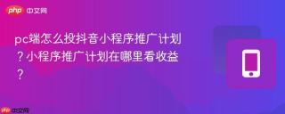 pc端怎么投抖音小程序推广计划？小程序推广计划在哪里看收益？
