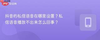 抖音的私信语音在哪里设置？私信语音播放不出来怎么回事？