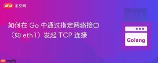 如何在 Go 中通过指定网络接口（如 eth1）发起 TCP 连接