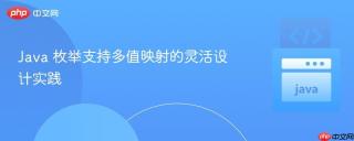 Java 枚举支持多值映射的灵活设计实践