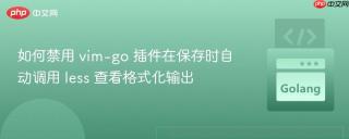 如何禁用 vim-go 插件在保存时自动调用 less 查看格式化输出
