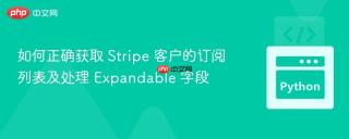 如何正确获取 Stripe 客户的订阅列表及处理 Expandable 字段