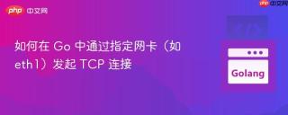 如何在 Go 中通过指定网卡（如 eth1）发起 TCP 连接