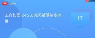 王自如因 246 万元再被限制高消费