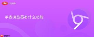 手表浏览器有什么功能