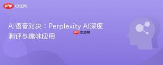 AI语音对决：Perplexity AI深度测评与趣味应用