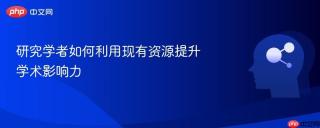 研究学者如何利用现有资源提升学术影响力