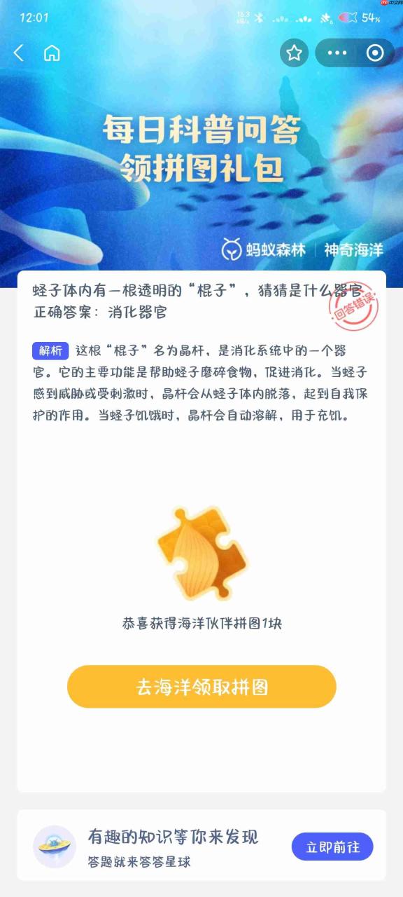 蛏子体内有一根透明的棍子猜猜是什么器官