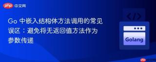 Go 中嵌入结构体方法调用的常见误区：避免将无返回值方法作为参数传递