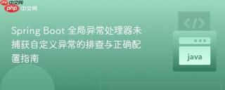 Spring Boot 全局异常处理器未捕获自定义异常的排查与正确配置指南