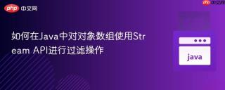 如何在Java中对对象数组使用Stream API进行过滤操作