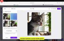 Canva AI背景生成器:轻松制作惊艳照片背景
