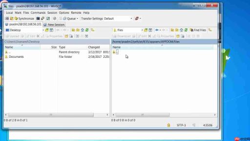 Oracle PeopleTools数据迁移工作台:配置管理新纪元