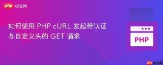 如何使用 PHP cURL 发起带认证与自定义头的 GET 请求
