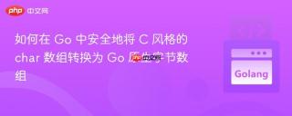 如何在 Go 中安全地将 C 风格的 char 数组转换为 Go 原生字节数组