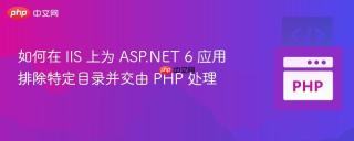 如何在 IIS 上为 ASP.NET 6 应用排除特定目录并交由 PHP 处理