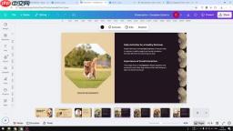 Canva AI 演示文稿生成器：快速创建专业演示文稿