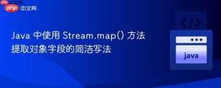 Java 中使用 Stream.map() 方法提取对象字段的简洁写法