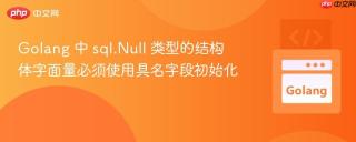 Golang 中 sql.Null 类型的结构体字面量必须使用具名字段初始化