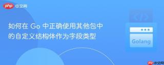 如何在 Go 中正确使用其他包中的自定义结构体作为字段类型