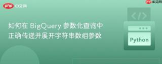 如何在 BigQuery 参数化查询中正确传递并展开字符串数组参数
