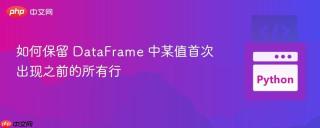如何保留 DataFrame 中某值首次出现之前的所有行