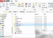 Packet Tracer安装与使用指南
