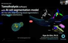 TomoAnalysis软件:AI细胞分割模型革新3D活细胞成像