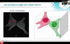 TomoAnalysis软件:AI细胞分割模型革新3D活细胞成像