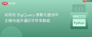 如何在 BigQuery 参数化查询中正确传递并遍历字符串数组