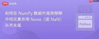 如何在 NumPy 数组中高效移除中间元素并用 None（或 NaN）补齐末尾