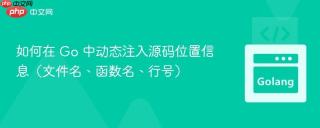 如何在 Go 中动态注入源码位置信息（文件名、函数名、行号）
